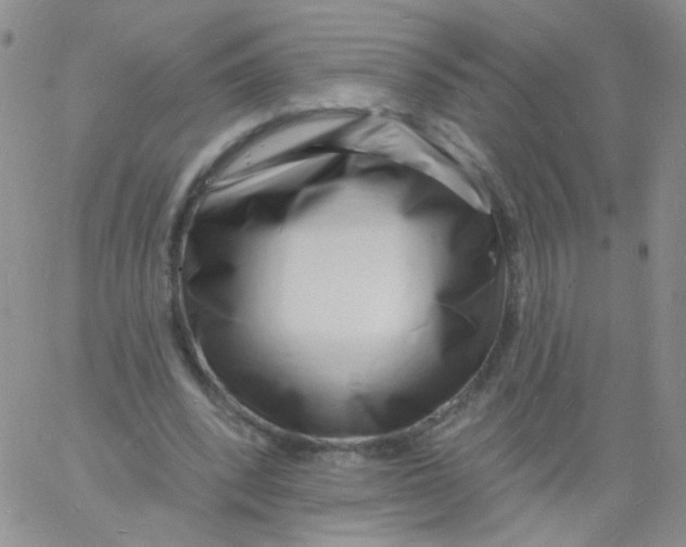 X0000060740392200512081923