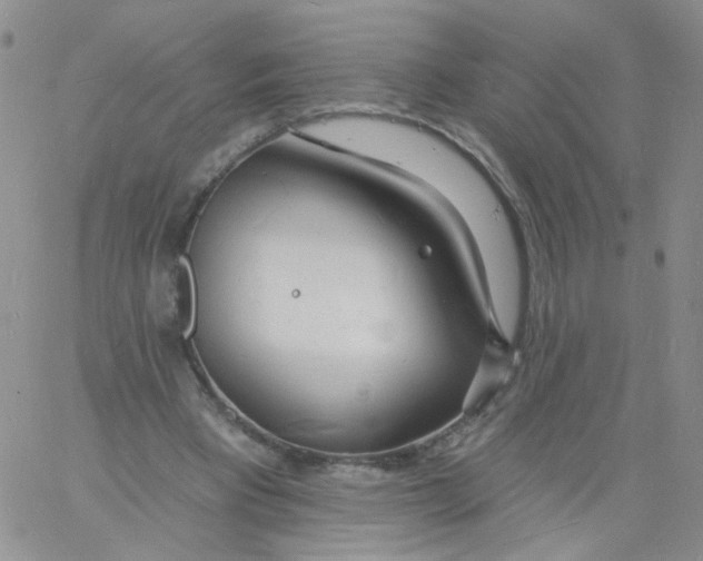 X0000060740393200512081923