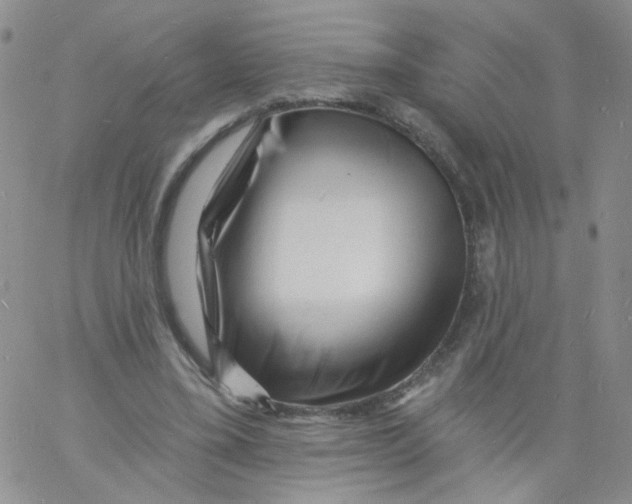 X0000060740395200512081923