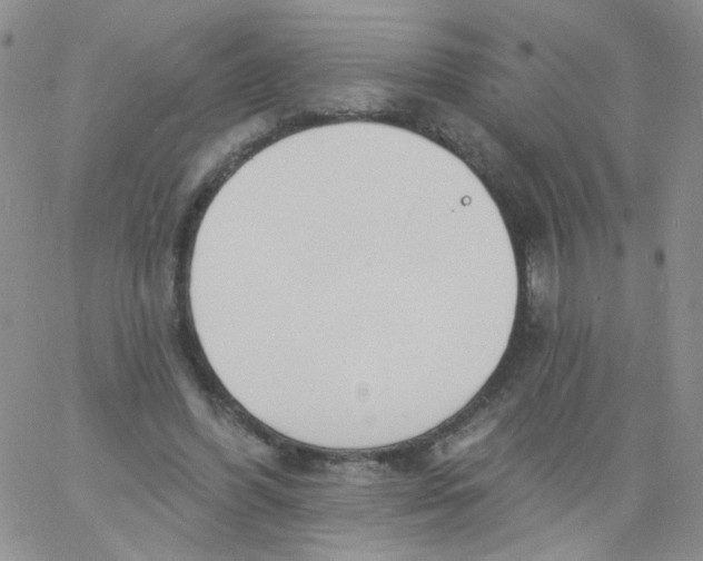 X0000060740396200512081923