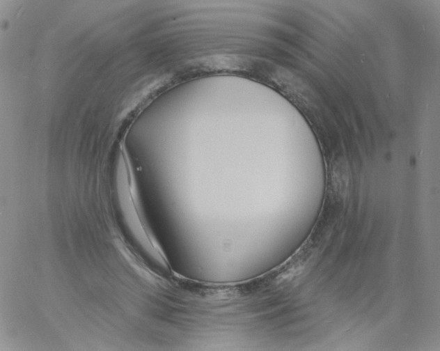 X0000060740398200512081923