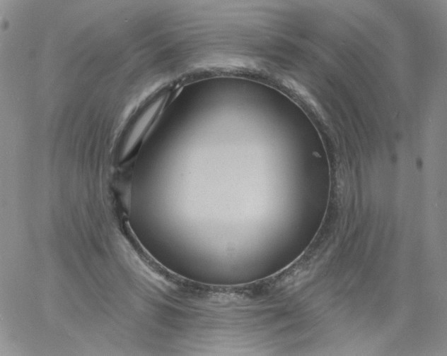 X0000060740399200512081923