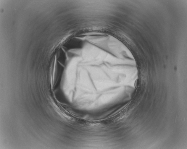 X0000060740401200512081923