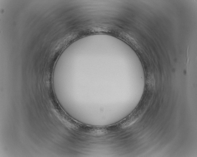 X0000060740402200512081923