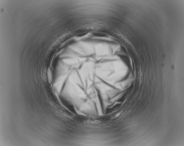 X0000060740403200512081923