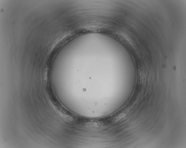 X0000060740404200512081923