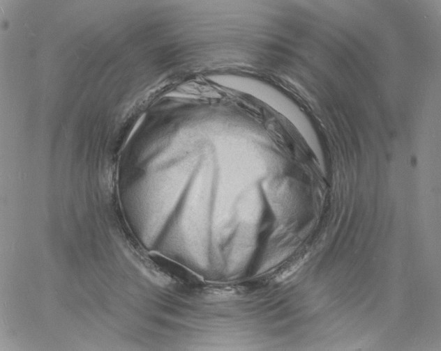 X0000060740405200512081923