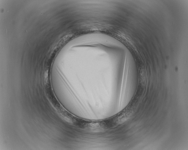 X0000060740406200512081923