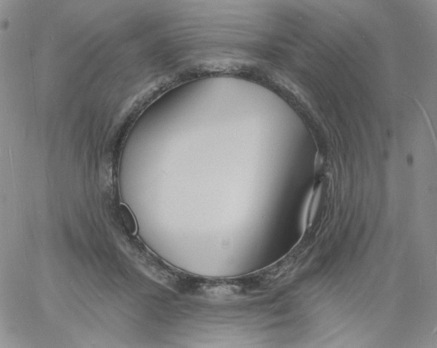 X0000060740407200512081923