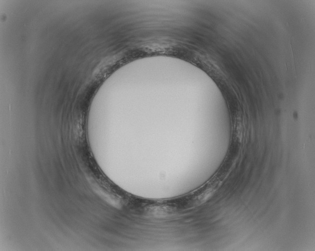 X0000060740408200512081923