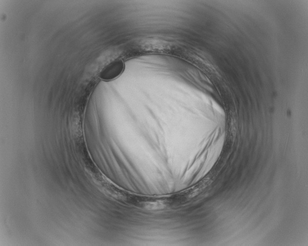 X0000060740411200512081923