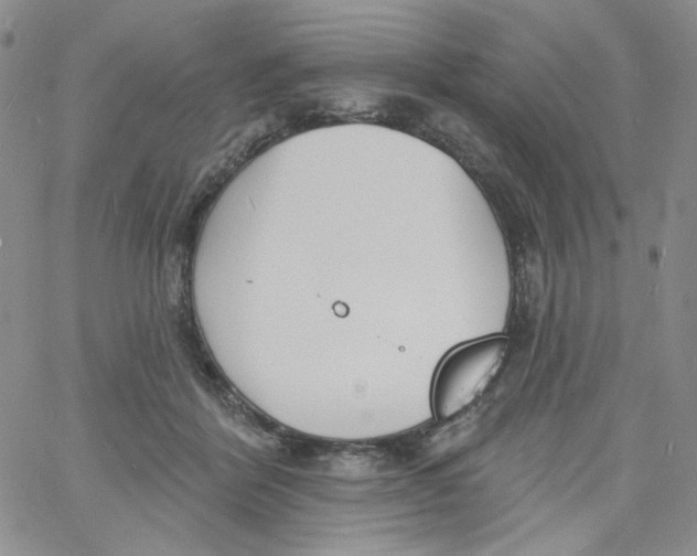 X0000060740412200512081923