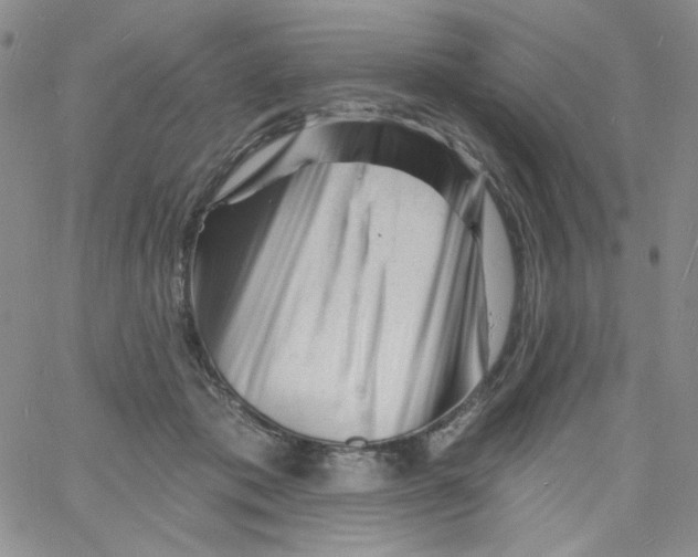 X0000060740413200512081923