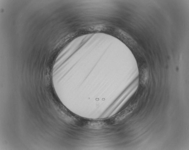 X0000060740414200512081923