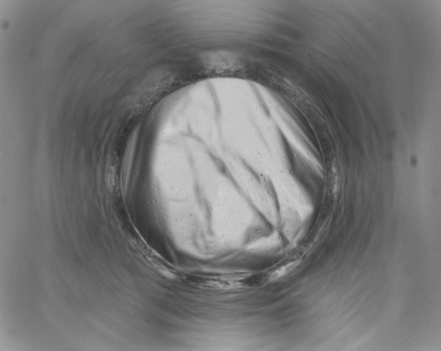 X0000060740417200512081923