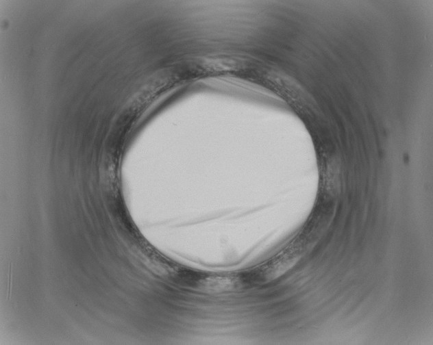 X0000060740418200512081923