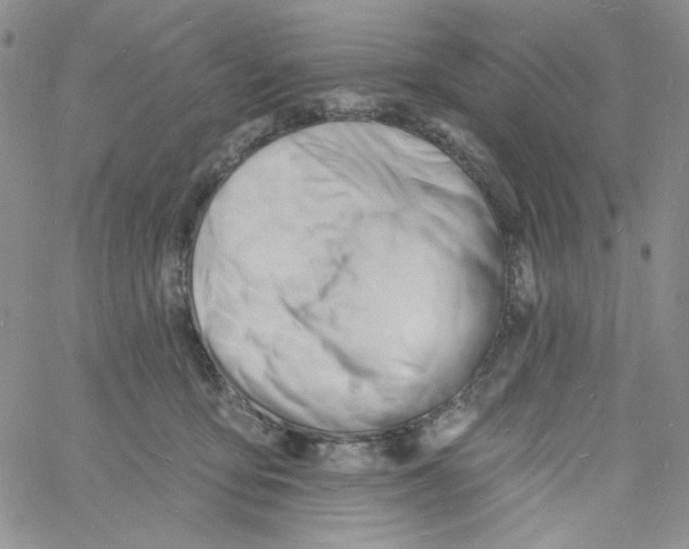 X0000060740419200512081923