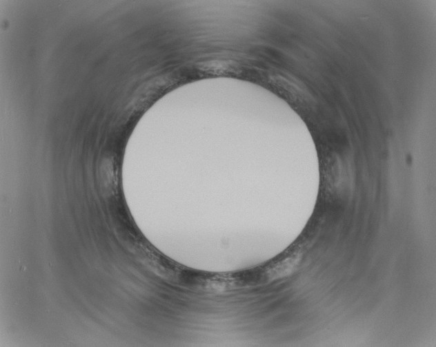 X0000060740420200512081923