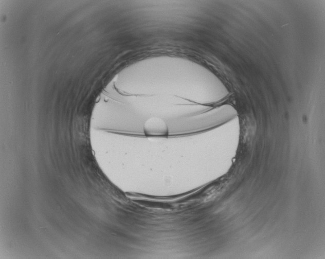 X0000060740421200512081923