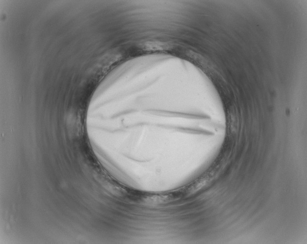 X0000060740422200512081922