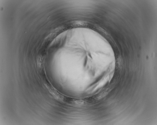 X0000060740423200512081922