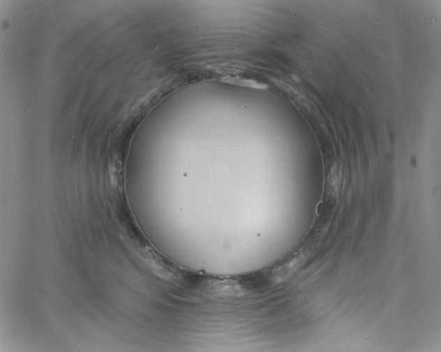 X0000060740424200512081922