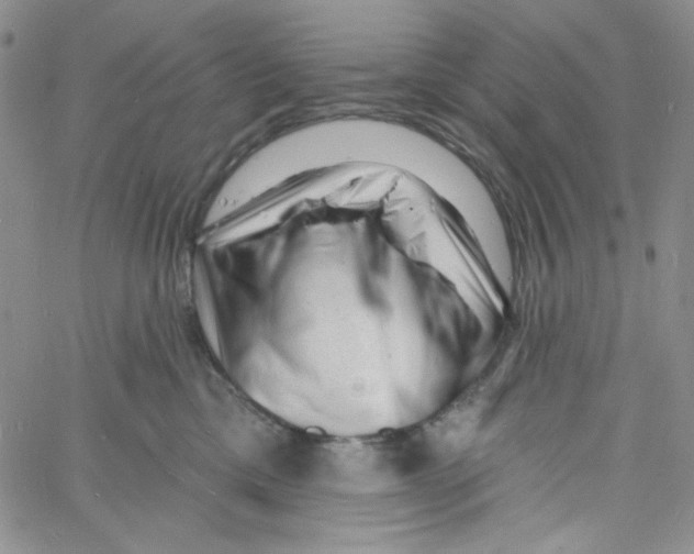 X0000060740425200512081922