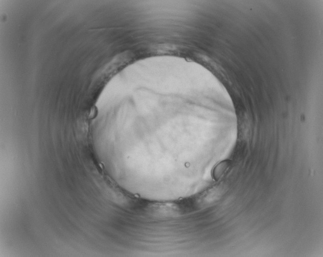 X0000060740427200512081922