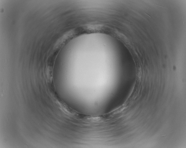 X0000060740428200512081922