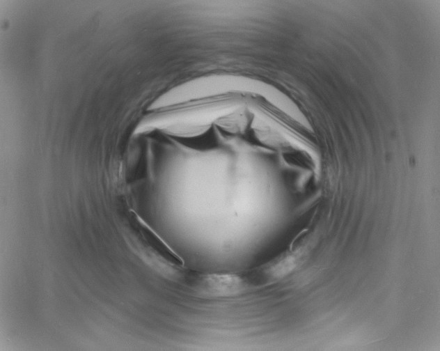 X0000060740429200512081922