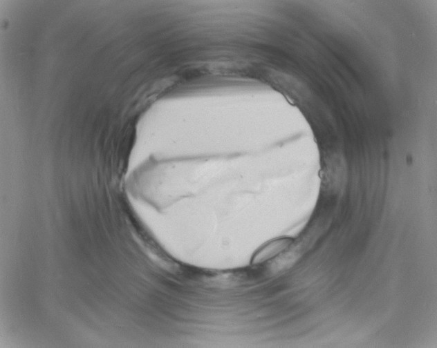 X0000060740430200512081922