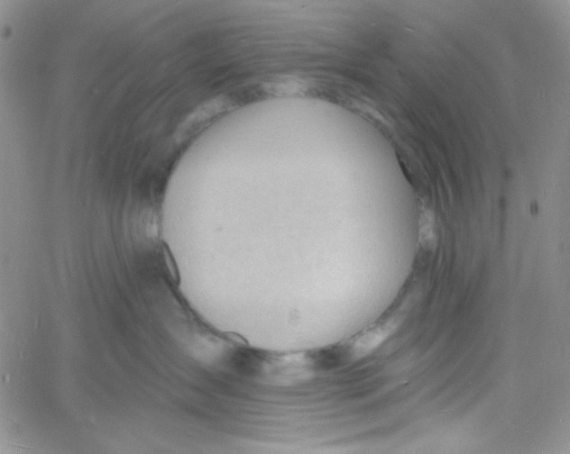 X0000060740431200512081922