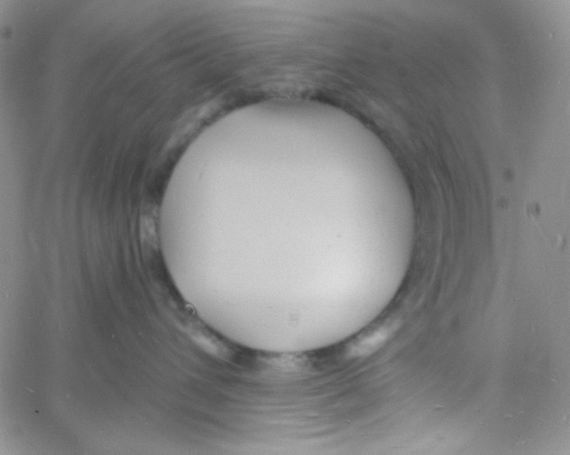 X0000060740432200512081922