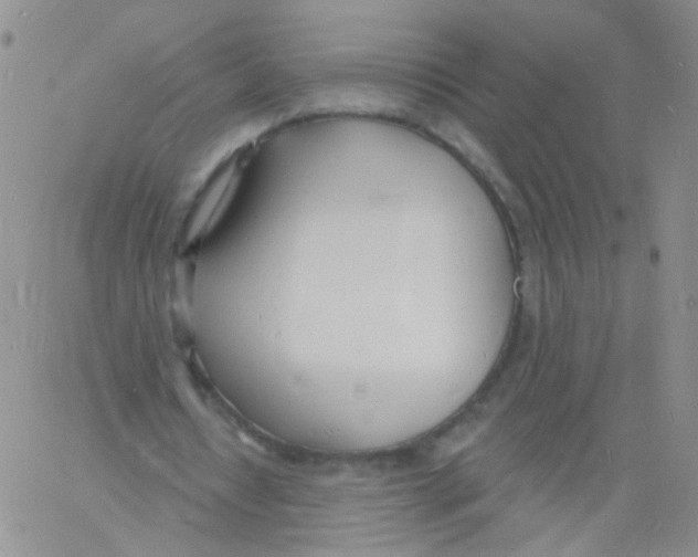 X0000060740434200512081922