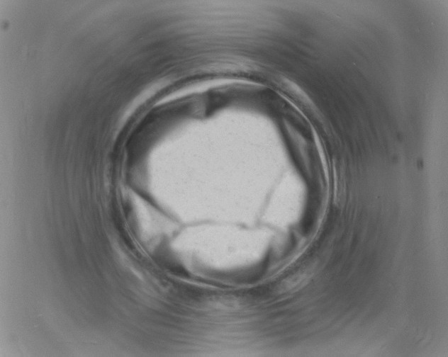 X0000060740435200512081922