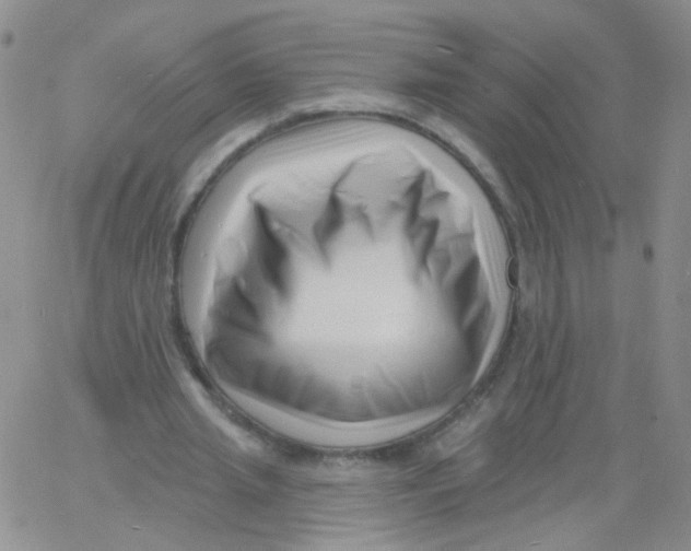 X0000060740437200512081922