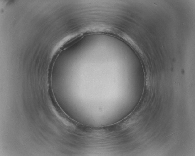 X0000060740438200512081922