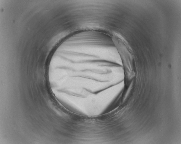 X0000060740439200512081922