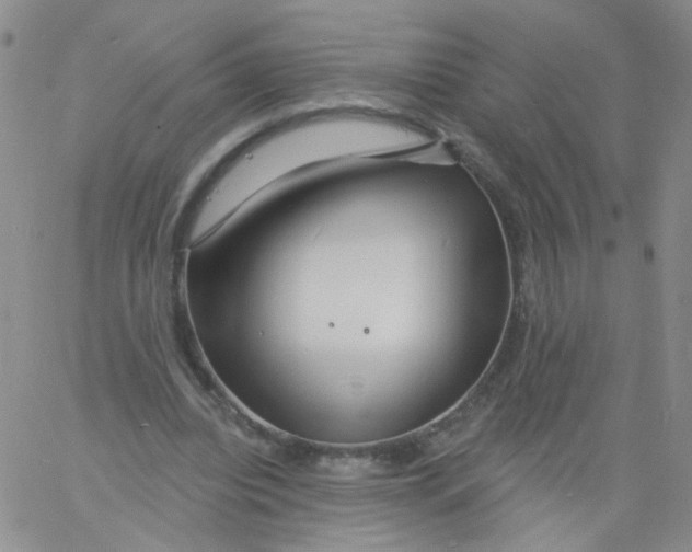 X0000060740440200512081922