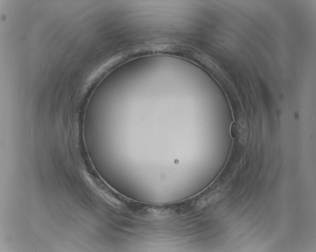 X0000060740442200512081922