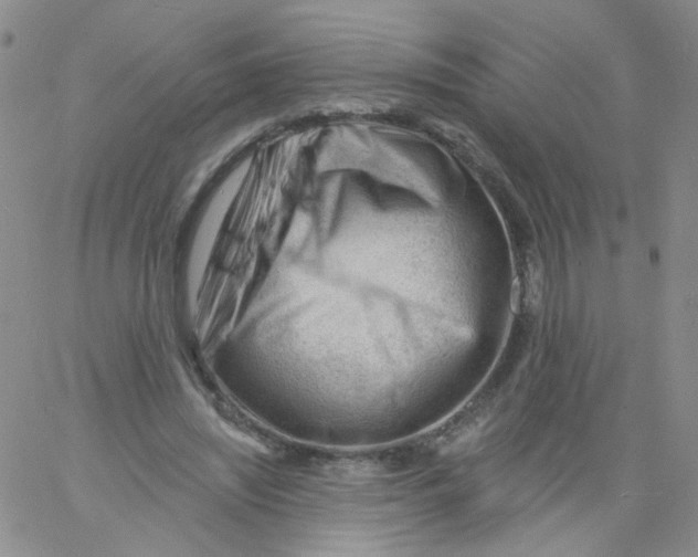 X0000060740444200512081922