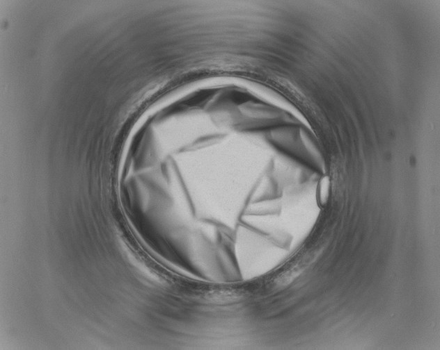 X0000060740445200512081922