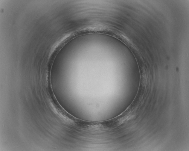 X0000060740446200512081922