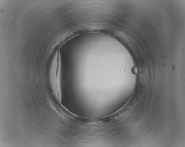 X0000060740447200512081922