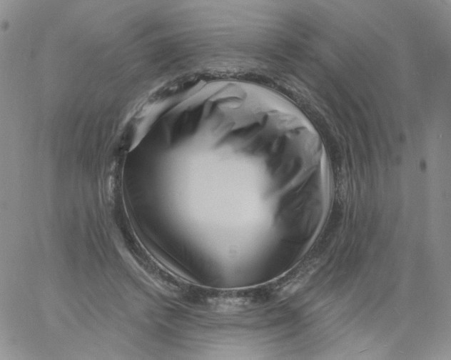 X0000060740448200512081922