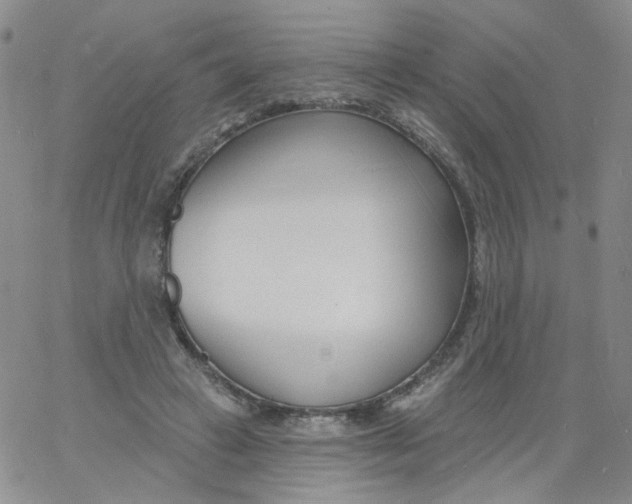 X0000060740449200512081922