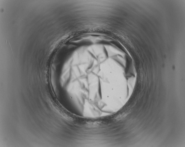 X0000060740450200512081922