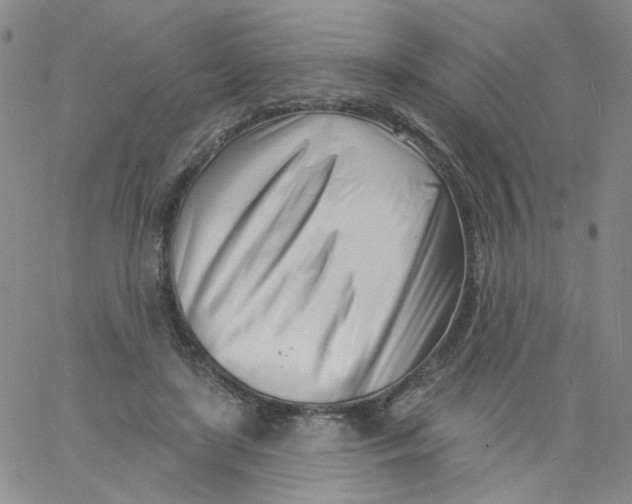 X0000060740451200512081922