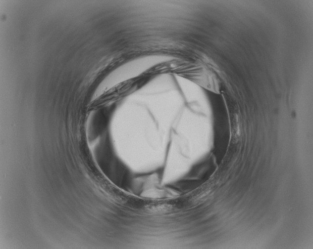 X0000060740452200512081922