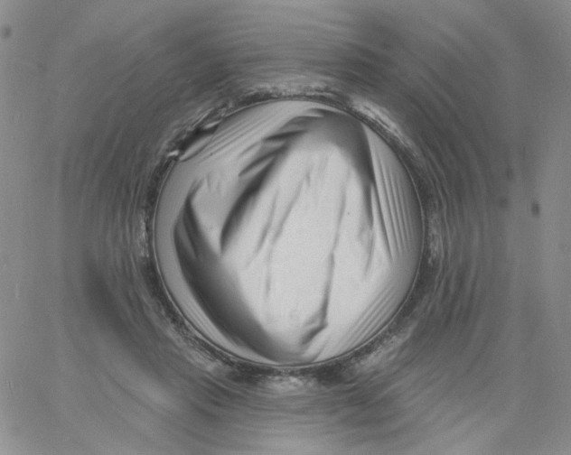 X0000060740453200512081922